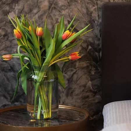 City Center Apartments With Parking Plovdiv